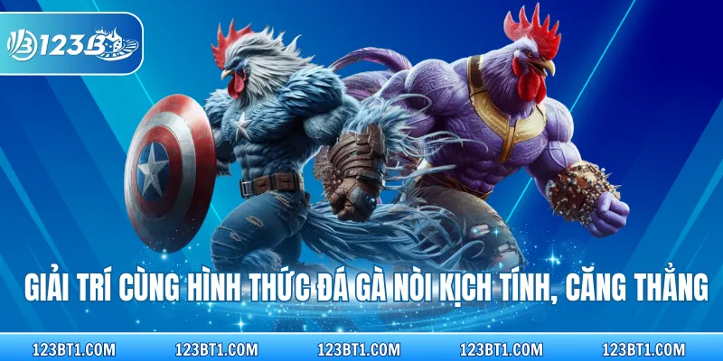 Giải trí cùng hình thức đá gà nòi kịch tính, căng thẳng