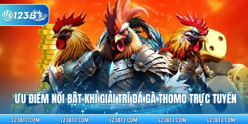 Ưu điểm nổi bật khi giải trí đá gà Thomo trực tuyến